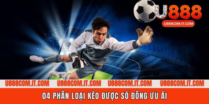 Tổng hợp 04 bình cá bóng đá thông dụng