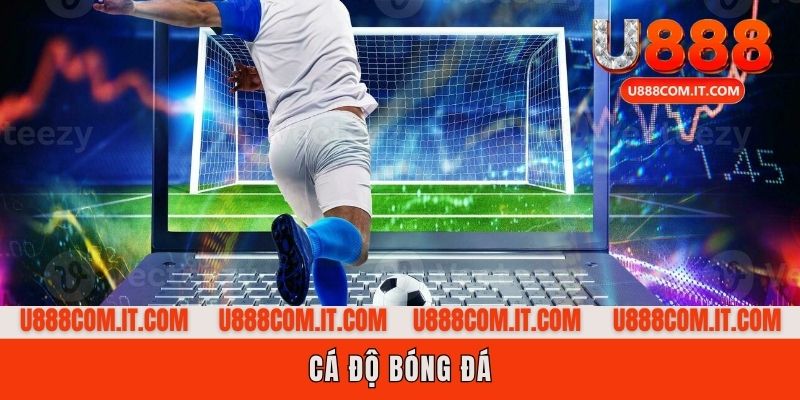 Cá độ bóng đá