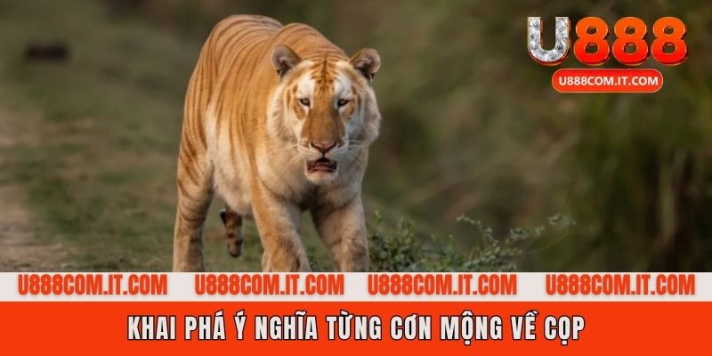Giải mã từng trường hợp mơ thấy gặp hổ