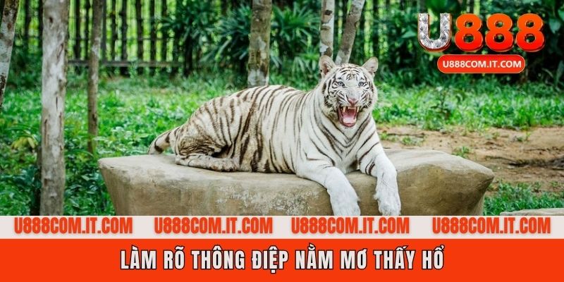Đôi điều tâm linh khi nằm mơ thấy hổ