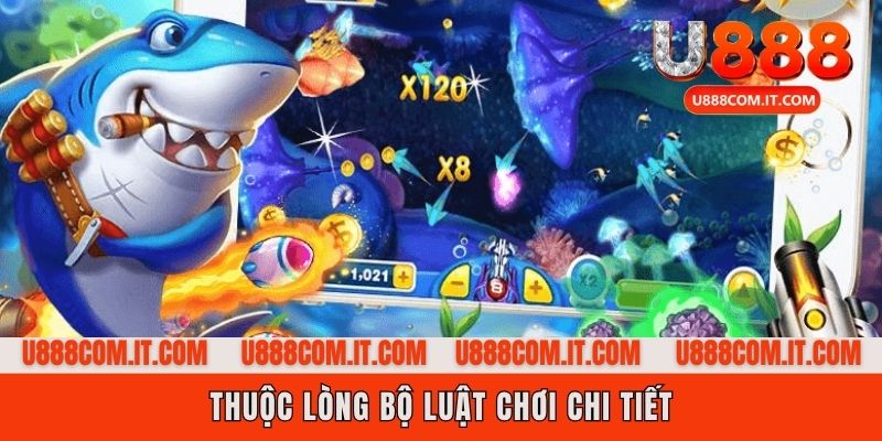 Cơ sở bắn súng săn cá cho người mới bắt đầu