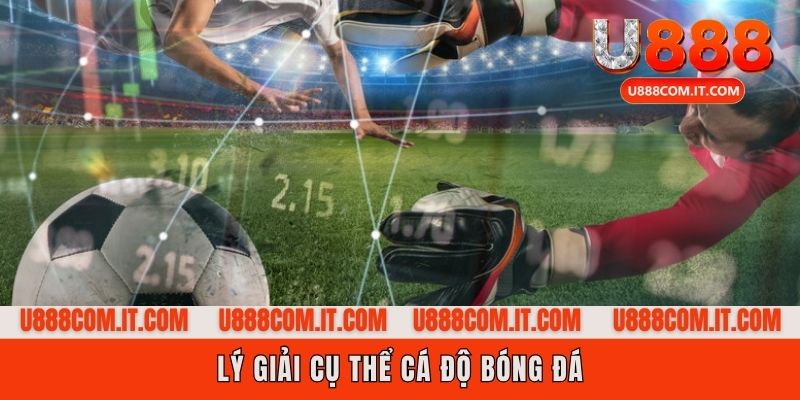 Cá độ bóng đá được định nghĩa như thế nào?