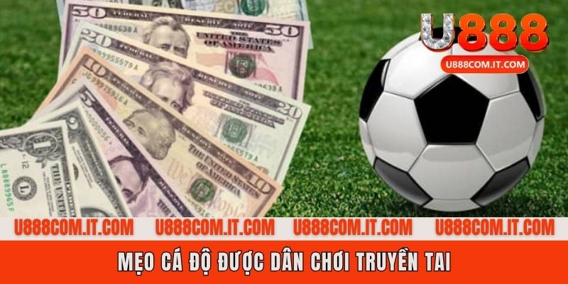 Cẩm nang chơi cá độ bóng đá chuyên gia