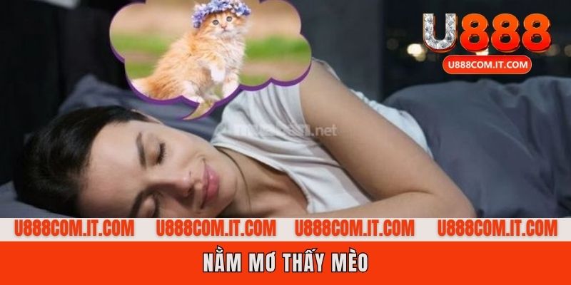 Nằm mơ thấy mèo