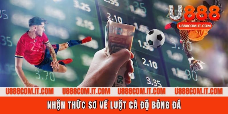 Luật cá độ bóng đá là gì?