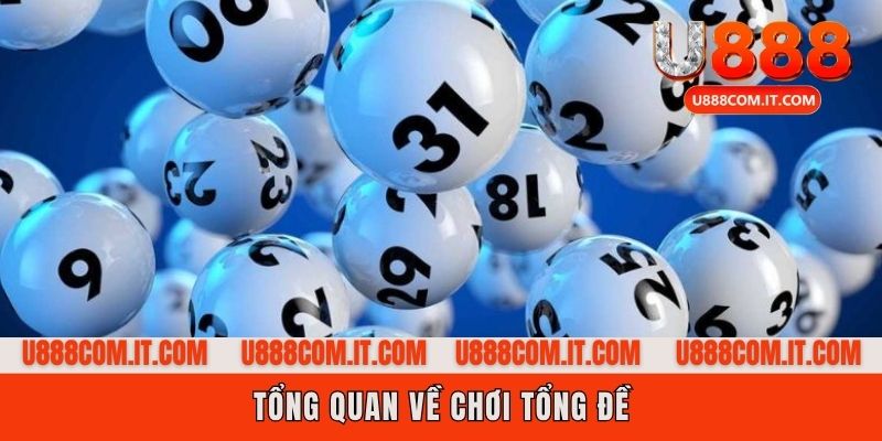 Khái niệm tổng đề là gì?